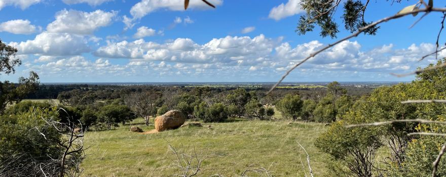 Wedderburn Junction