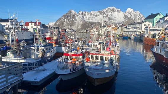 Henningsvær Port Viewpoint