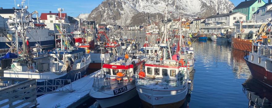 Henningsvær Port Viewpoint