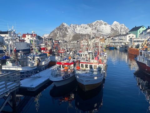 Henningsvær Port Viewpoint