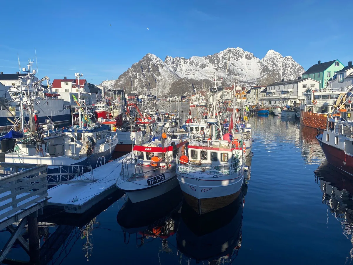Henningsvær Port Viewpoint