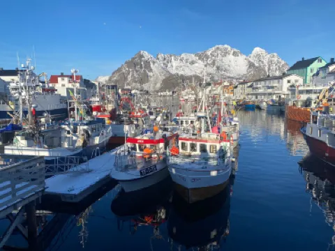 Henningsvær Port Viewpoint