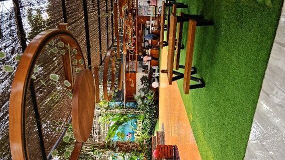 Celosia Flower Garden