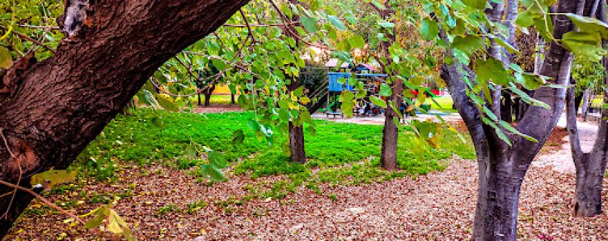 Parc de Palmera