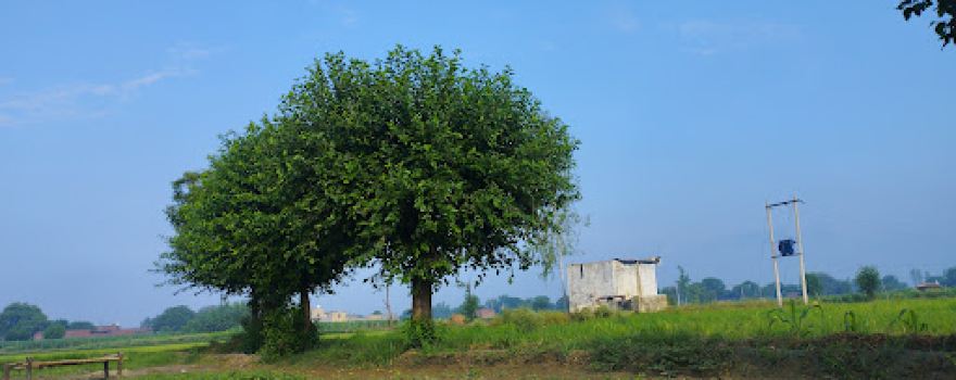 DILALPUR THE SMART VILLAGE SIKARWAR