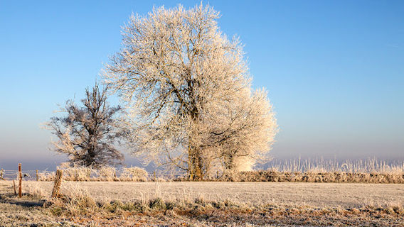 Tombe1er Soldat Americain tombé en Belgique