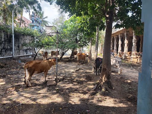 Shri Padaleeswarar Temple