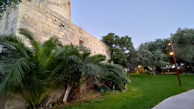 Gnien Victor Calvagna