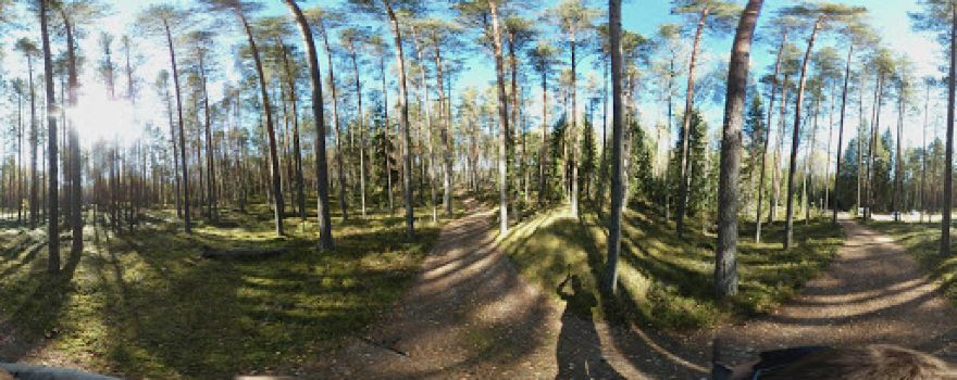 RMK Alumati lõkkekoht