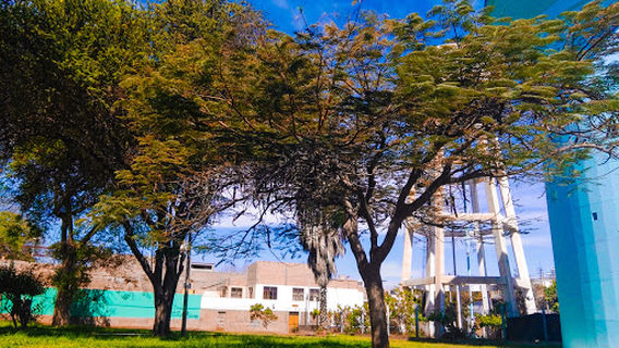 Abraham Valdelomar Park