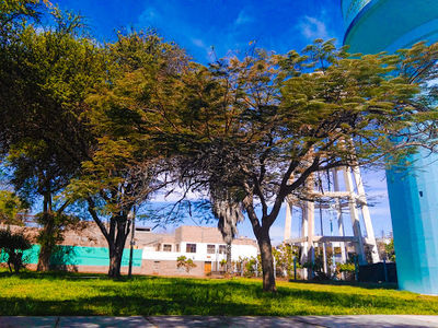 Abraham Valdelomar Park