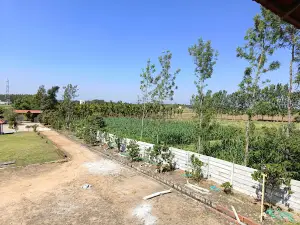 Belur Planters Club, Belur
