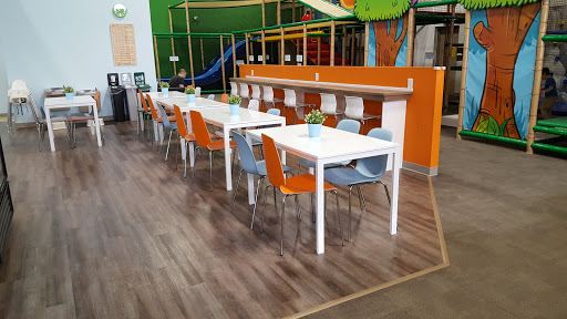 Flynn's Forest Indoor Playground
