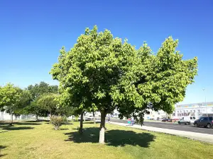 Las Albercas Park
