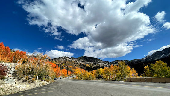 Historic Bay City Tunnel, Alta