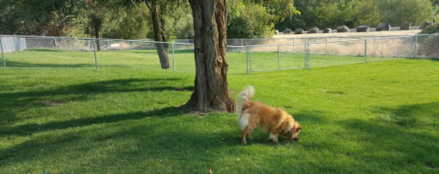 Dayton Dog Park