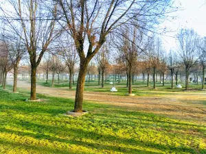 La Moheda