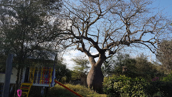 Plaza Barrio Primavera
