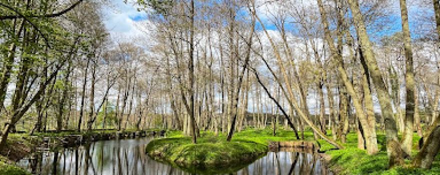 Park Pałacowy