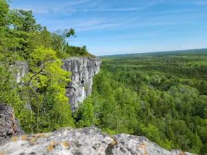 Cup and Saucer Nature Reserve
