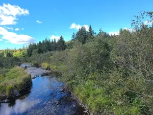 Gully Lake Wilderness Area