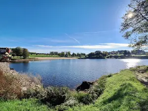 Lac de Châteauneuf-la-Forêt