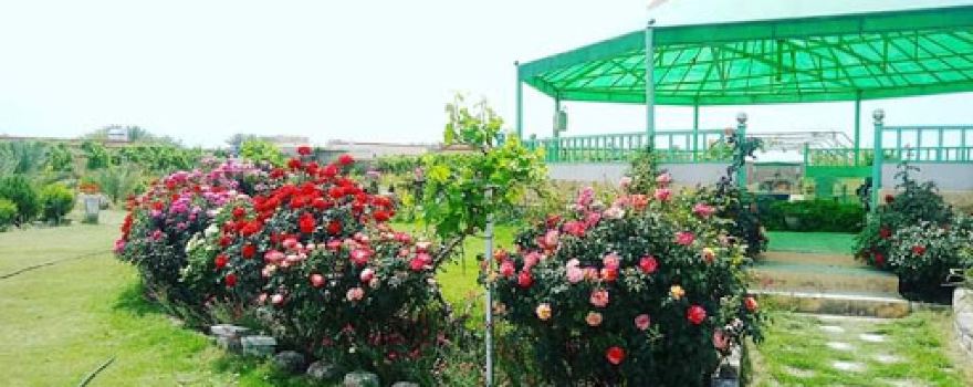 Manzil Bagh Entertainment Park
