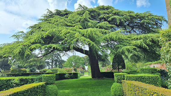 National Trust - Hidcote