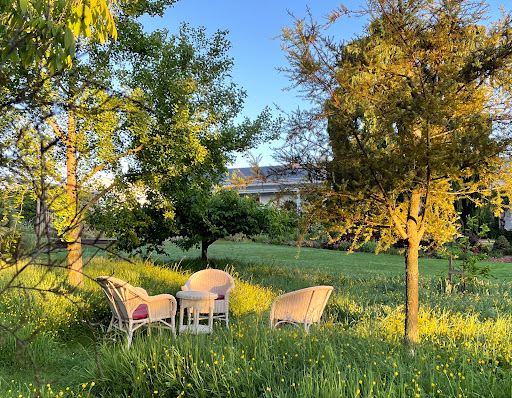 Welton House Garden (By Appointment Only)