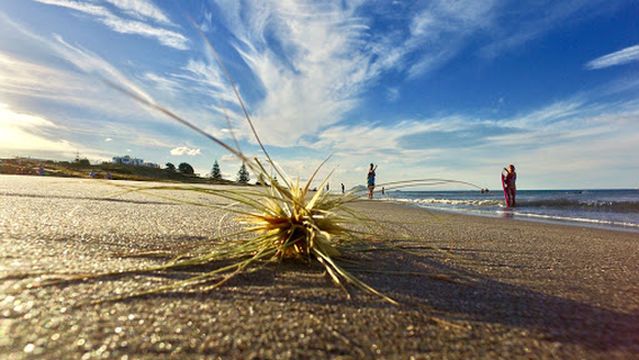 Papamoa Surf Lifesaving Club