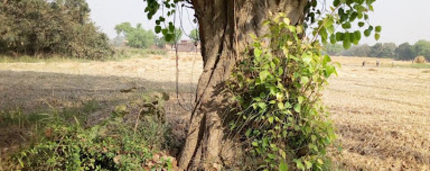Daudaha Veer Pahalawan Baba