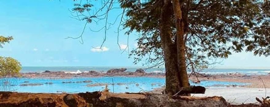 Pemberton Campground
