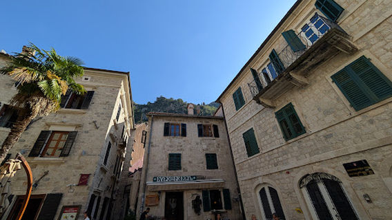 Kotor