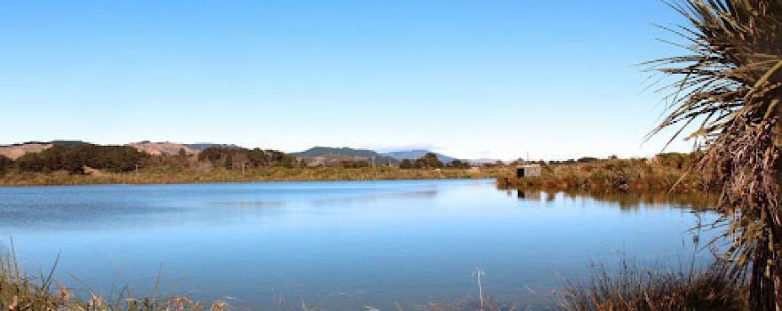 Pharazyn Reserve