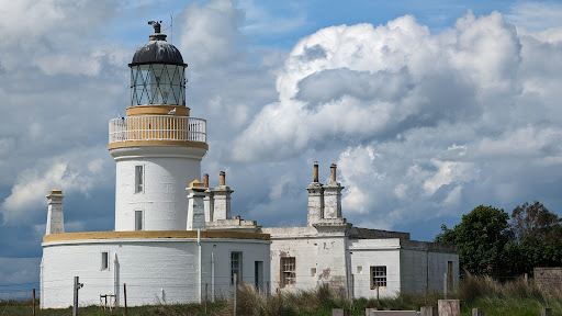Dolphin View Point