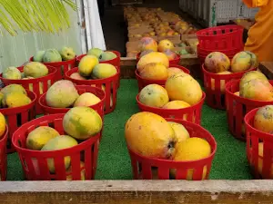 Erickson Farm