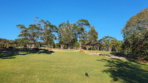 Wattamolla picnic area