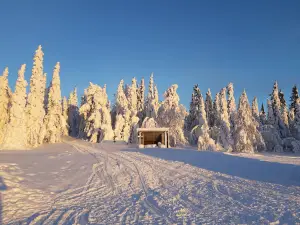 Toppstugan Åmliden