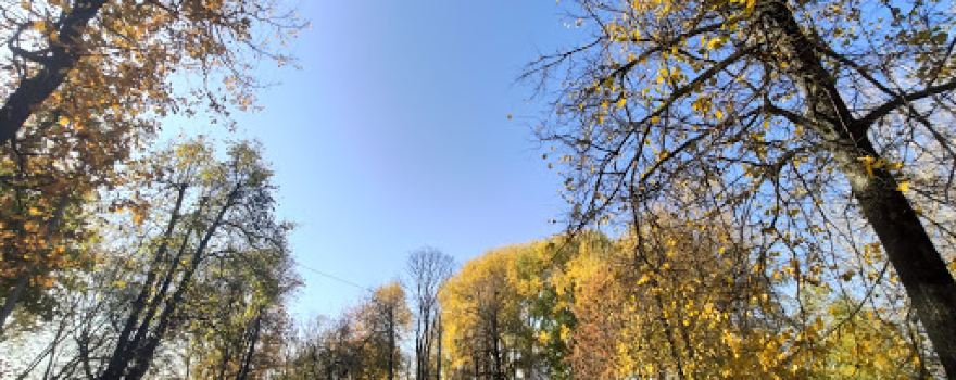 Gorky Park