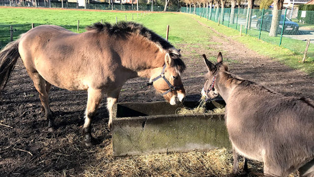 Kinderboerderij De Zeven Torentjes