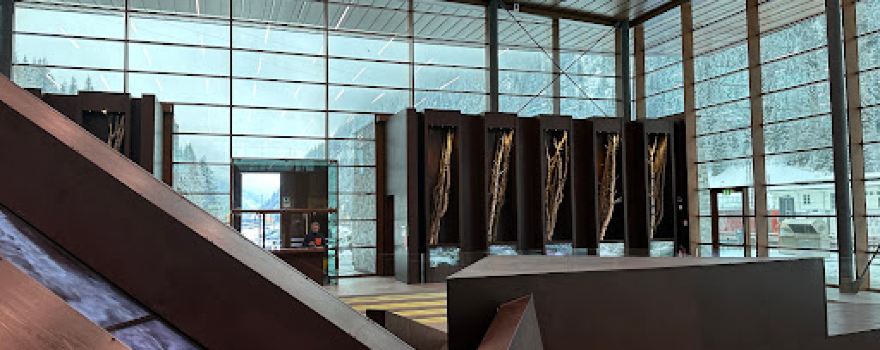 Plessi Museum