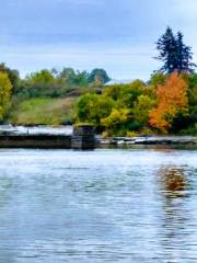 Black River Bay Campgrounds