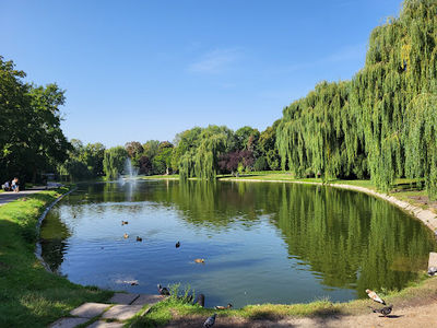 Stanisław Staszic Municipal Park