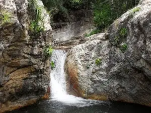 Banho da Cachoeira de Palmeiras