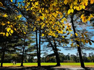 Dennis Hill State Park