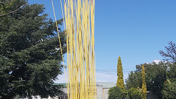 Featherston Reeds