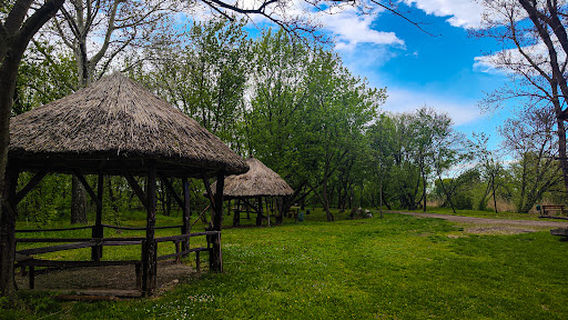 Special nature reserve "Carska bara"
