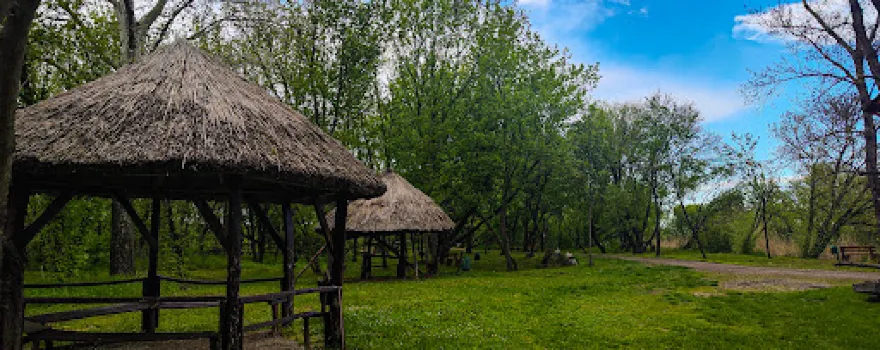 Special nature reserve "Carska bara"