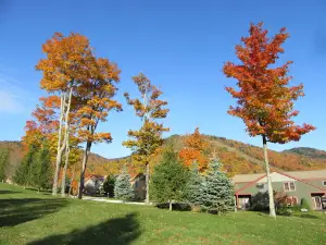 Killington Bear Mountain Lodge