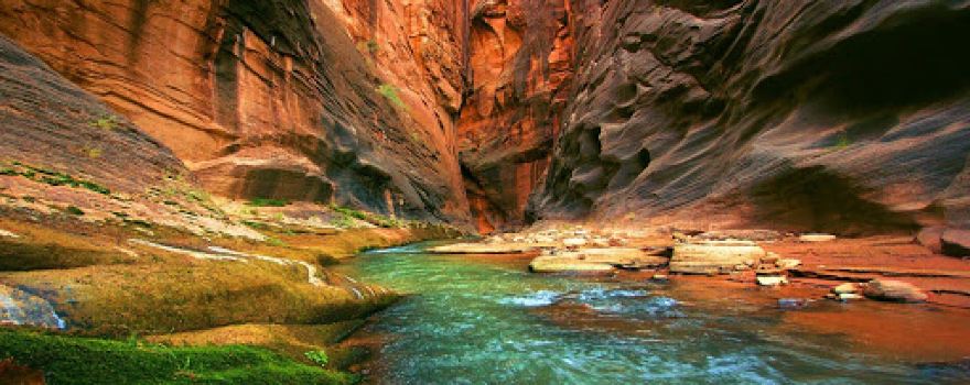 Canyon 65